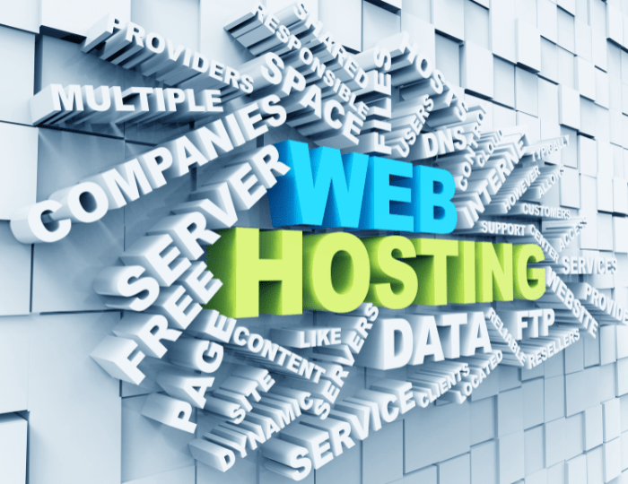 Shared Hosting vs VPS Hosting Which One Should You Choose Shared Hosting vs VPS Hosting Which One Should You Choose