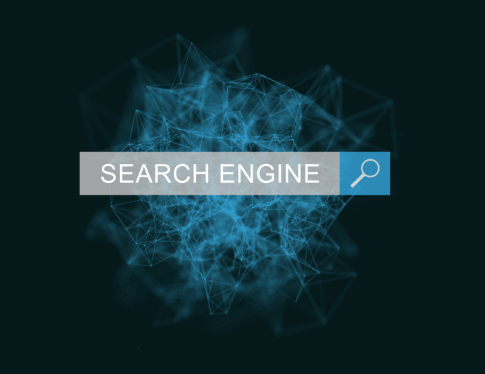 How Domain Names Impact Search Engine Rankings