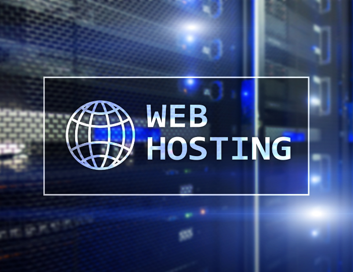 What Makes Shared Hosting Ideal for Business Websites